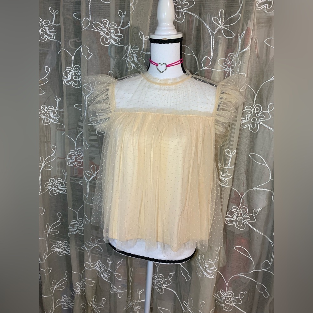 Storia Beige Polka Dot Tulle Blouse